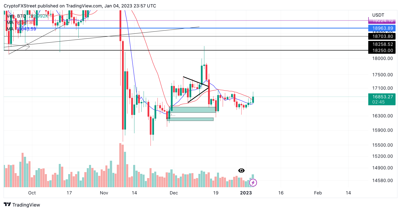 tm/btc/1/4/22