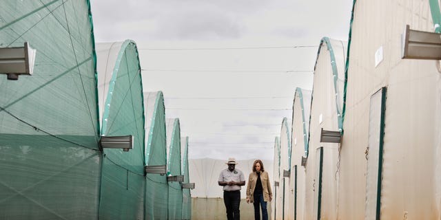 LUSAKA, ZAMBIA - 01 DE ABRIL: El director gerente y fundador de Panuka Enterprise Limited, Bruno Mweemba, ofrece a la vicepresidenta Kamala Harris un recorrido por la granja Panuka el sábado 1 de abril de 2023, en Lusaka, Zambia. 