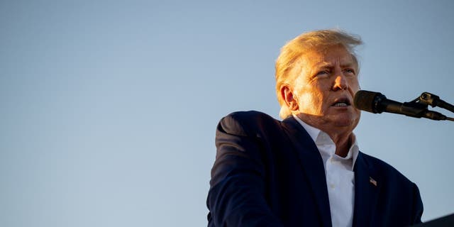 Former President Donald Trump speaks during a rally in at the Waco Regional Airport in Waco, Texas, in March.