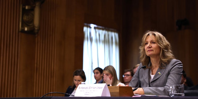 Beth Van Schaack compareció ante el Comité de Relaciones Exteriores del Senado